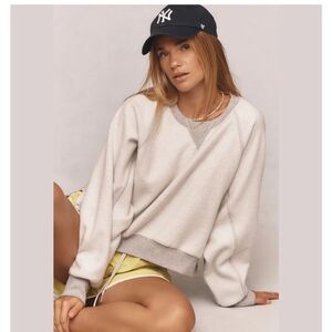 Anthropologie Light Gray and Cream Sweater